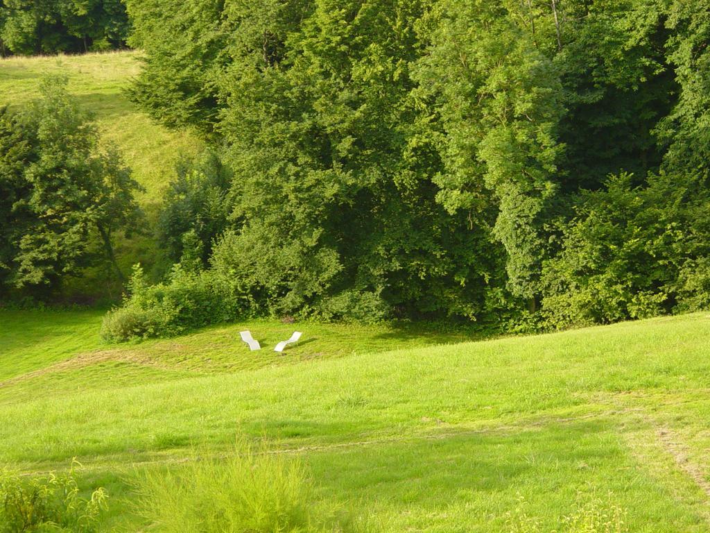 La Parenthese Bed and Breakfast Saint-Genix-sur-Guiers Eksteriør billede
